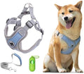 Patas Lague Dog Harness with Leash Set by PatasLague