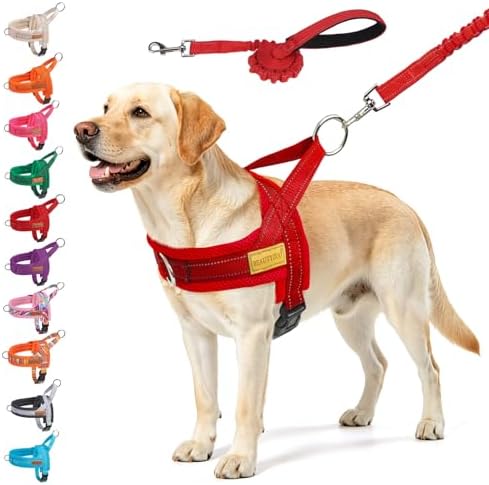 BEAUTYZOO Dog Harness for Large Dogs, No Pull Step in Pet Vest and Leash Set by BEAUTYZOO