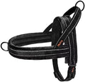 Didog No Pull Dog Harness for Small Dogs, Soft Flannel Padded by Didog
