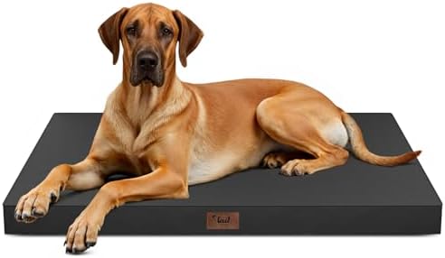 Jumbo Waterproof Orthopedic Dog Bed by TailStories