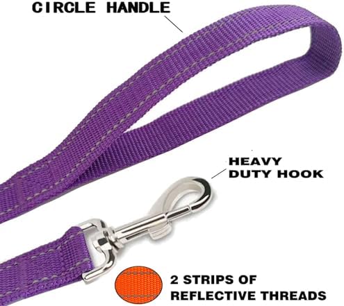 Reflective Dog Leash 6FT Long, 5/8 Inch Wide, - Image 4