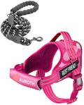 AUROTH Dog Harness for Large Dogs No Pull Tactical Harness and Leash Set by AurothPets