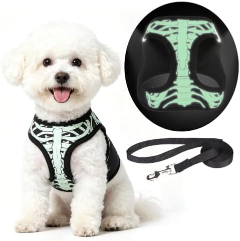 KOOLTAIL Halloween Dog Harness and Leash Set by KOOLTAIL