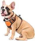 WINSEE Dog Harness No Pull, Pet Harnesses by WINSEE