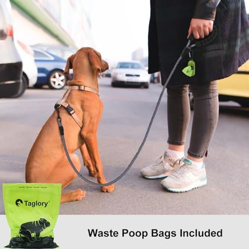 Taglory Rope Dog Leash for Small Medium Dogs, 6 FT Padded Handle - Image 2
