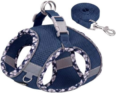 AIITLE Breathable Dog Harness Small Sized and Leash Set by AIITLE-FORPETSBETTERLIFE