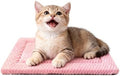 Dog Bed Mat – Soft & Comfortable Dog Kennel Pad by %E7%AB%8B%E5%8D%B3%E8%B4%AD%E4%B9%B0
