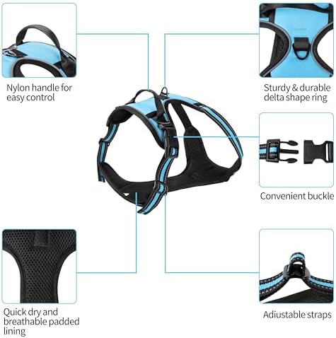 Blue No-Pull Dog Harness with 2 Leash Clips，Soft Padded Vest - Image 3