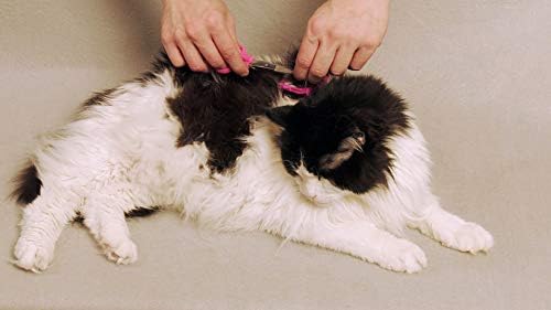 SCAREDY CUT Silent Pet Grooming Kit - Image 6
