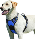 Eagloo Dog Harness for Large Dogs, No Pull Pet Vest by GoExplorewithEagloo