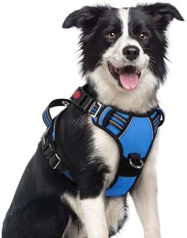 rabbitgoo Dog Harness Medium Sized, No Pull 3 Buckles Easy On & Off by rabbitgoo