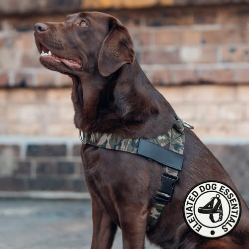 Dog Friendly Co. Dog Harness for Large Breeds - Image 5
