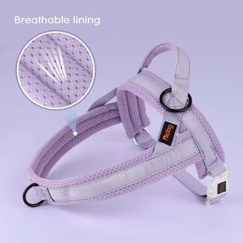 Didog No Pull Dog Harness with Breathable Mesh Padded, Quick Fit and Easy on - Image 3