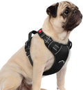 rabbitgoo Dog Harness Small Sized, No Pull 3 Buckles Easy On & Off by rabbitgoo