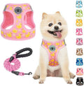BEAUTYZOO Dog Harness Medium Sized and Leash Set, No Pull Pet Vest by BEAUTYZOO