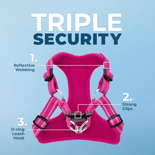 Best Pet Supplies Voyager Adjustable Step-in Flex Breathable Mesh Dog Harness - Image 3