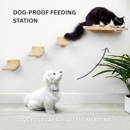 INICIO Cat Shelves - Image 4