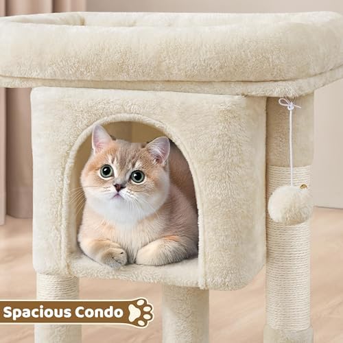 Yaheetech 23.5in Small Low-Profile Cat Tree Condo - Image 5