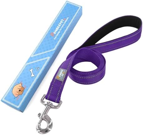 6 FT Basic Dog Leash for Large Dogs - Image 6