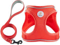 Hipubby Dog Harness and Leash Set, No Pull Soft Mesh Puppy Harness by Hipubby