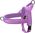 Didog No Pull Dog Harness for Large Dogs, Soft Flannel Padded by Didog