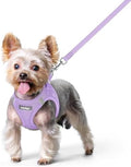 rabbitgoo Dog Harness Small Sized and Leash Set, Step-in Puppy Pet Vest by rabbitgoo