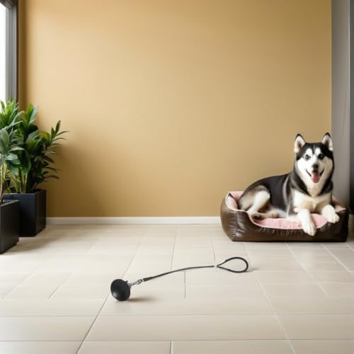 Dog Bathing Tether Steel Wire Leash Adjustable - Image 6