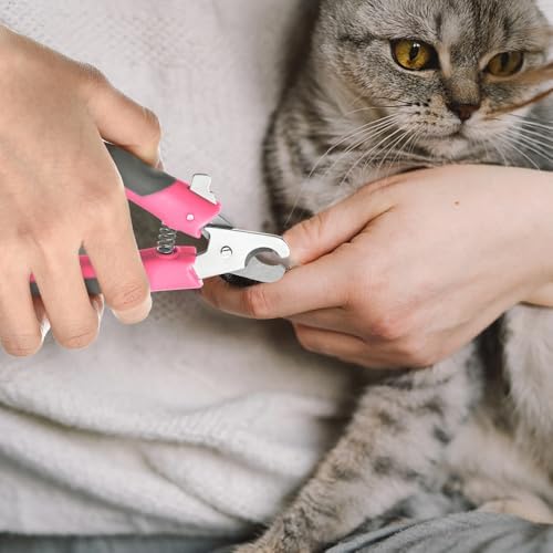 WePet Pet Nail Clippers U07.3, Professional Claw Trimmer, Scissor - Image 4