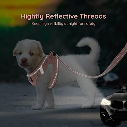 BELLA & PAL Step in Puppy Harness and Leash Set - Image 5