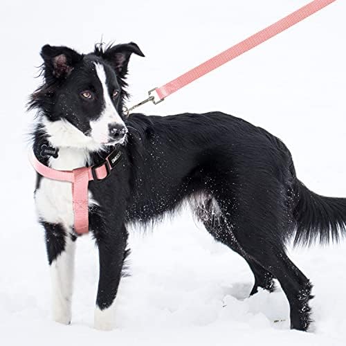 No Pull Dog Harness, Leash & Collar Set, Adjustable Step-in Vest - Image 7