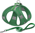 AIITLE Small Dog Harness and Leash Set, Step-in Puppy Pet Vest by AIITLE-FORPETSBETTERLIFE