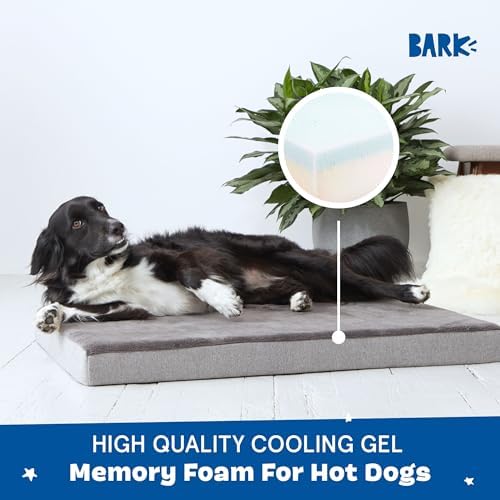 BarkBox Orthopedic Dog Bed - Image 3
