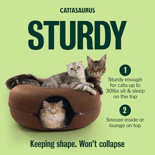 Cattasaurus Peekaboo Cat Cave Donut - Image 5