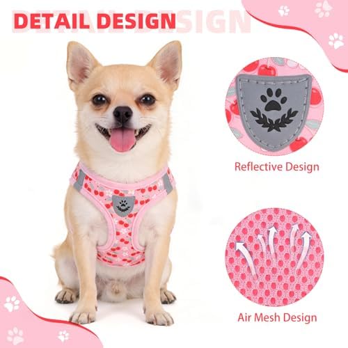 KOOLTAIL Dog Harness for Small Medium Dogs, Dog Harness and Leash Set, Step in - Image 6