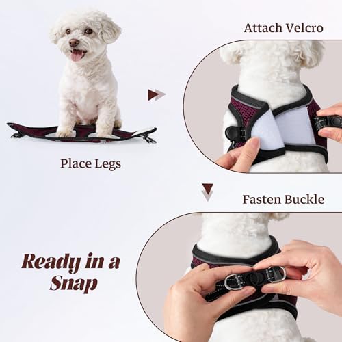 No Pull Dog Puppy Harness and Leash Set Reflective Mesh Vest X-Small - Image 4