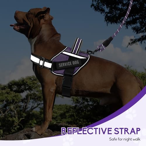 Service Dog Vest Harness and Leash Set, Animire in Training Dog Harness - Image 6