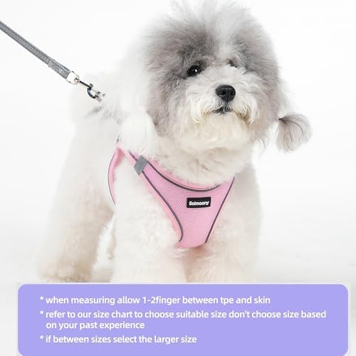 Solmoony Sparkly XXXS Dog Harness and Leash Set, Step in Soft Light Puppy Vest - Image 2