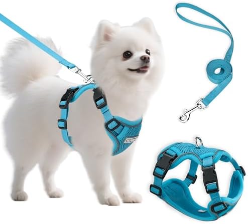 Small Dog Harness and Leash Set, Adjustable Small Sized Pet Vest by Unknown