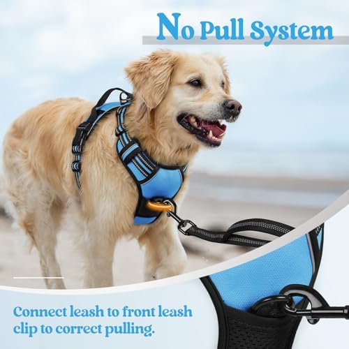 rabbitgoo Dog Harness, No Pull Medium Sized - Image 5