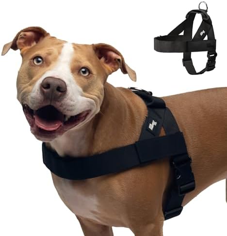 Dog Friendly Co. Dog Harness for Large Dogs by DogFriendly