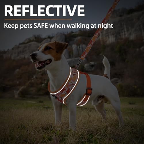 PUPTECK Fall Dog Harness and Leash Set No Pull Small Sized Dogs Puppy - Image 6