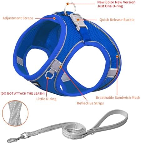 AIITLE Dog Harness and Leash Set, Step-in Puppy Pet Vest, Royal Blue L - Image 2