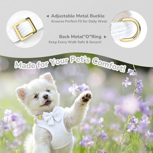 Small Dog Collar Harness and Leash Set - Image 3