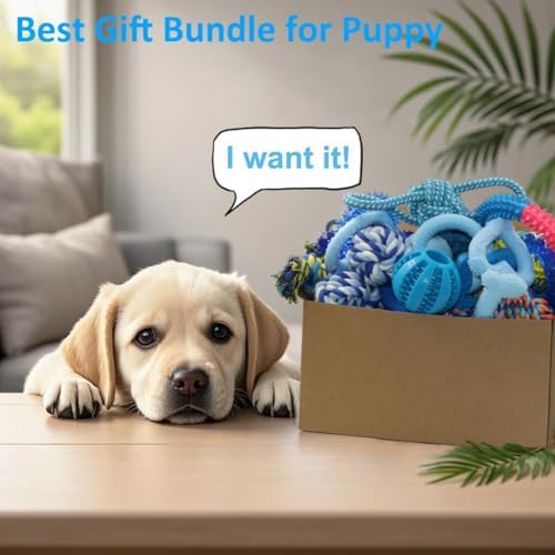 Beiker 20 Pack Puppy Chew Toys, Dog Teething Toys - Image 6