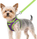 rabbitgoo Dog Harness Small Sized and Leash Set, Step in Soft Vest by rabbitgoo