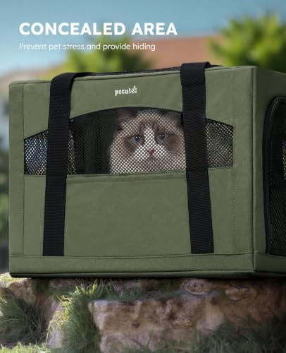 Pecute Cat Carrier Stable, Pet Carrier - Image 4