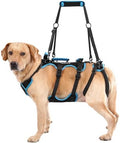 Dog Lift Harness for Large Male Dogs, 2-in-1 Detachable Support Harness by LAFOTY