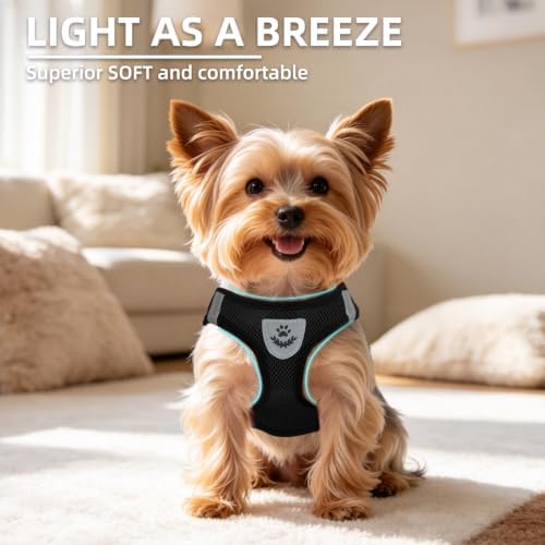 PUPTECK Dog Harness, Collar and Leash Set No Pull - Image 3