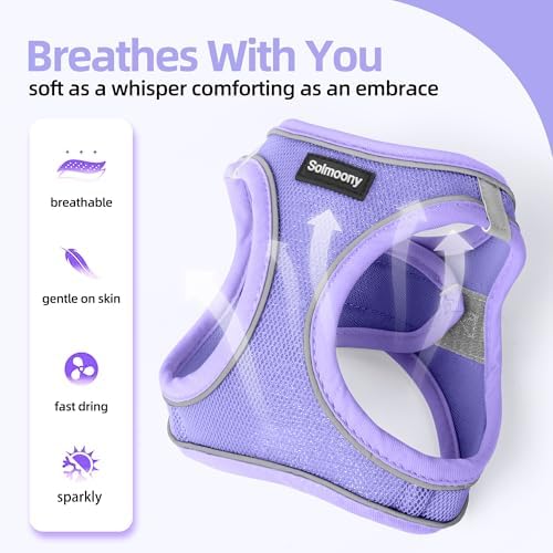 Solmoony Sparkly XS Dog Harness and Leash Set, Step in Soft Light Puppy Vest - Image 3