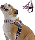 Dog Friendly Co. Dog Harness for Large Dogs by DogFriendly